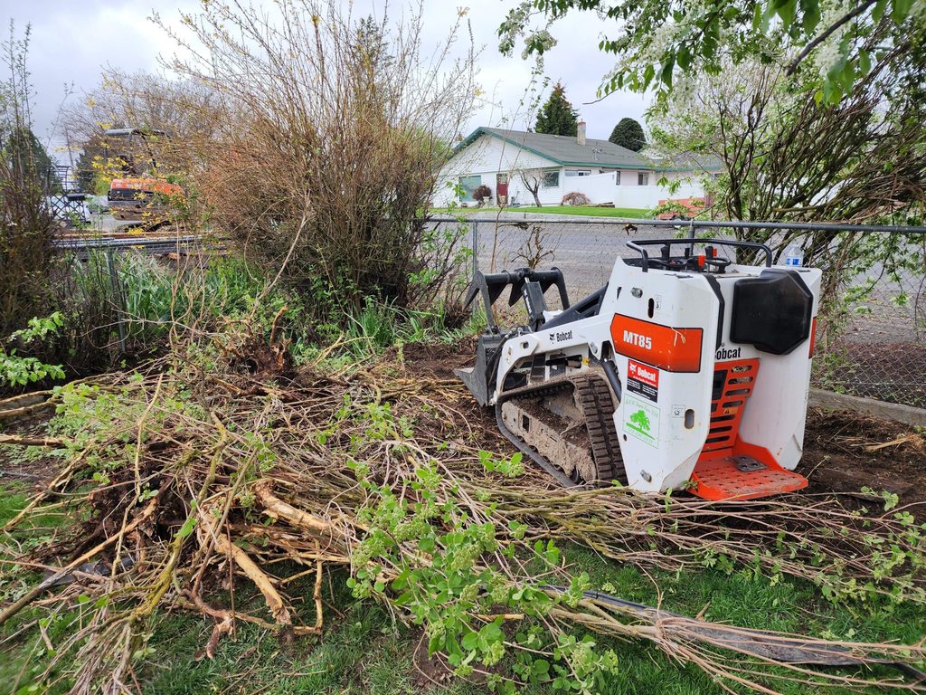Compact track loader clearing brush and overgrown shrubs on a Davenport property