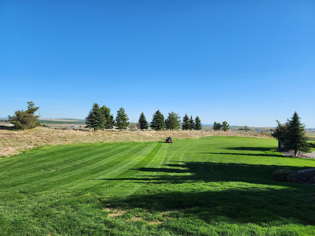 Freshly mowed lawn with tree line and open fields