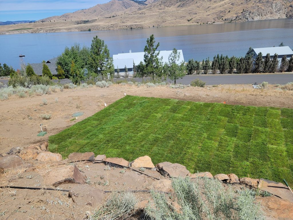 New sod lawn installed on a lakeside property