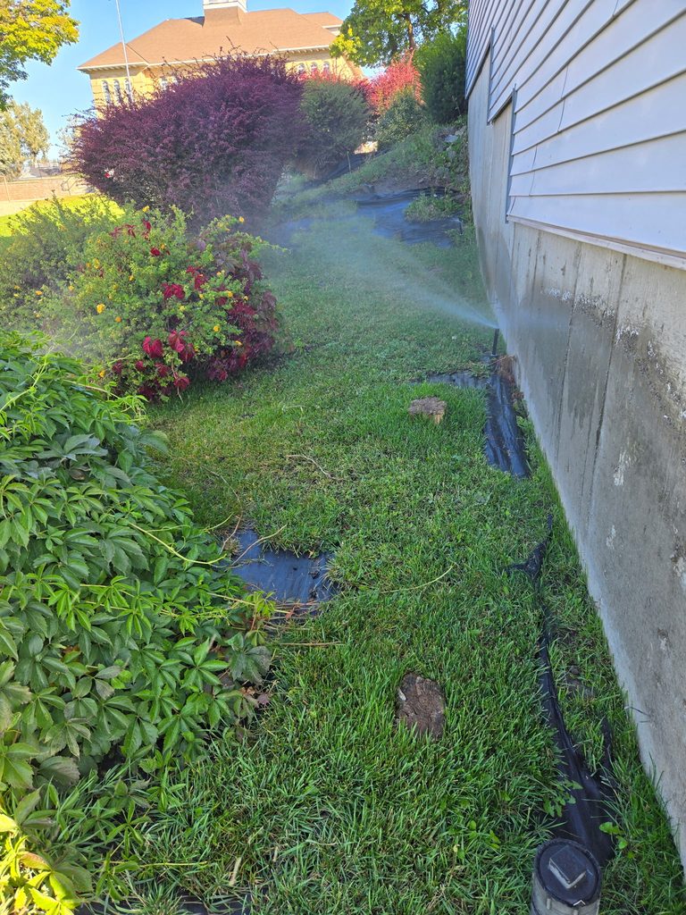 Short-throw sprinkler head running in a narrow planting strip beside a building foundation